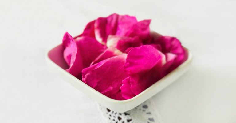 joga-piekna-hydrolat-rozany-tonik-odmladzajacy