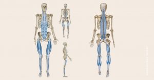 wpływ powięzi na twarz